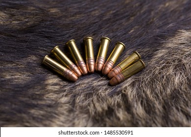 22 Long Rifle Ammo Laying On Raccoon Hide.