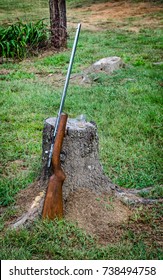 22 Rifle Single Shot Resting On Wood Stump.  Hunting Or Target Shooting Rim Fire Rifle. Fun Outdoor Activity Of Hunting Or Target Shooting.