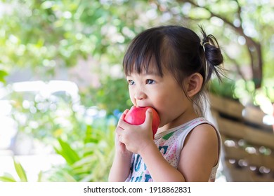 Portrait​ image​ of​ 2-3 yeas​ old​ of​ baby.​ Happy​ Asian child girl eating and biting an red apple. Enjoy eating moment. Healthy food and kid concept.​ - Powered by Shutterstock