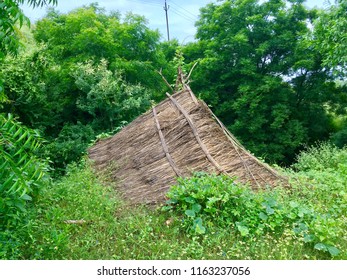 24 August 2018 1000 Hours At Giglana Neemrana Rajasthan In India. The Hut Surrounded By Wild Grass.