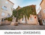 24 October 2024, Budva, Montenegro: Picturesque view of a traditional stone house adorned with vibrant green ivy at Poets Square in old town