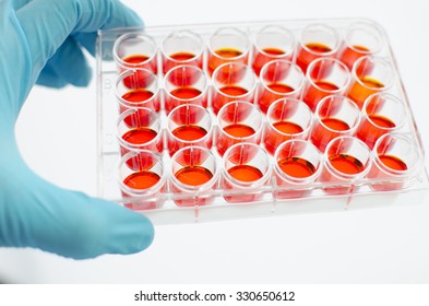 24 Wells Cell Culture Plate