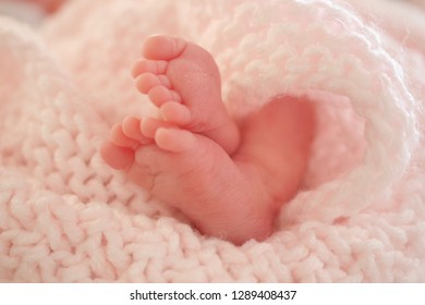 25 weeker. Premature Baby feet wrapped in blanket. Lying in incubator in hospital. 