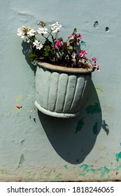 26-10-2009 – 14:11:16 This Flower Pot Is Fixed On A Wall In One Of The Structure Inside Government Botanical Garden A Tourist Spot, The Garden In Existence Since 1848 At Ooty. Tamil Nadu India
 
