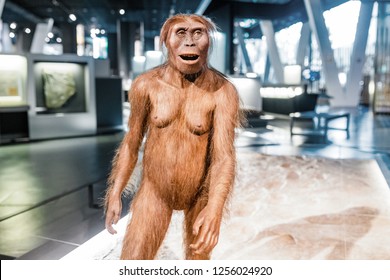 猿人 の画像 写真素材 ベクター画像 Shutterstock