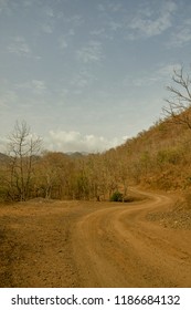 28 Jun 2012 Dry Forest Kevadiya Colony Near Sardar Sarovar Narmada Dam GUJARAT INDIA Asia