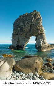 29.09.2013 Russia. Sikhote-Alin State Nature Biosphere Reserve Named After K. G. Abramov