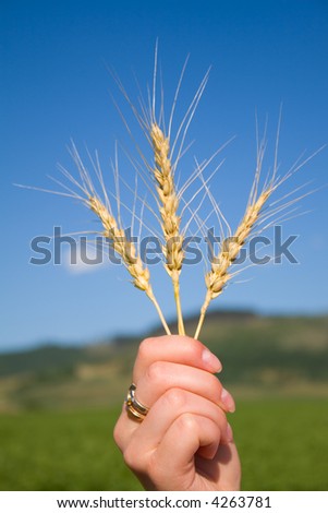 3 cereals in womans hand