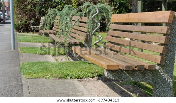 3 Long Wooden Benches Row Stock Photo Edit Now 697404313