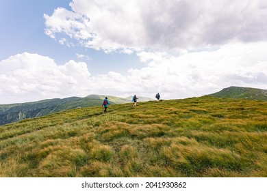 3,749 3 People Walk On Field Images, Stock Photos & Vectors | Shutterstock