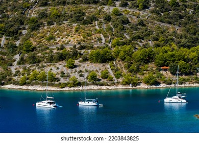 3 Sail Boats (2 Catamarans) In A Bay With Olive Trees In The Background In Sevid, Croatia