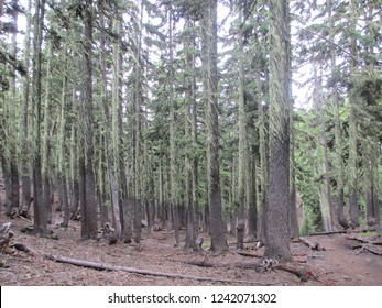 3 Sisters Wilderness Area. Bend Or