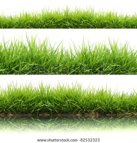 3 style fresh spring green grass isolated on white background
