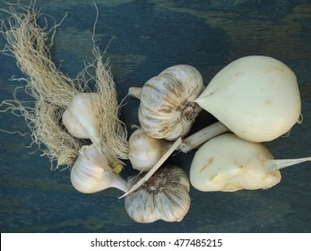 3 types of garlic, spring, winter and Rocambole.