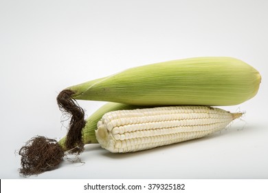 3 White Maize with and without leaves produced in Mexico organic or transgenic isolated on white