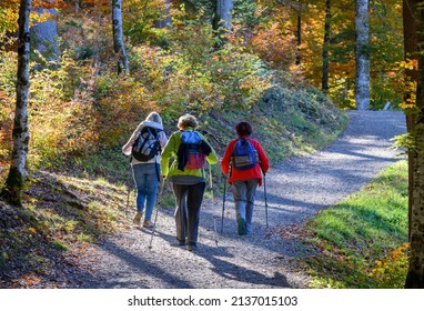 3 Women Hiking With Walking Sticks In Forest