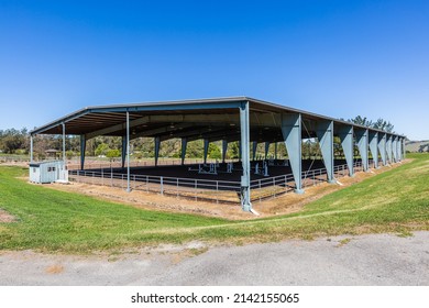 30k Square Foot Covered Horse Arena On A 75 Acre, Sonoma Wine Country Estate, Horse Property