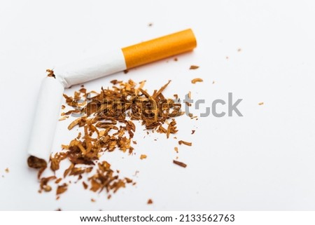 31 May of World No Tobacco Day, no smoking, close up of broken pile cigarette or tobacco STOP symbolic on white background with copy space, and Warning lung health concept