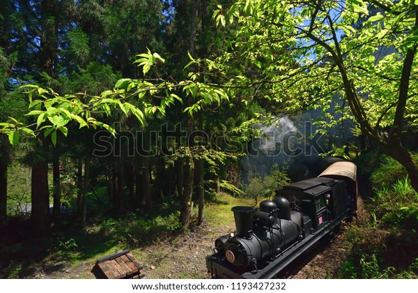 31st, the black front\
of the steam train, braved white smoke, driving in the verdant\
forest winding track.