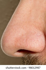 32 Year Old Caucasian Male nose seen from the side with macro close up.