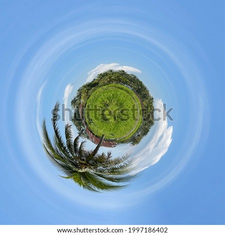 Similar – Image, Stock Photo Brush Island