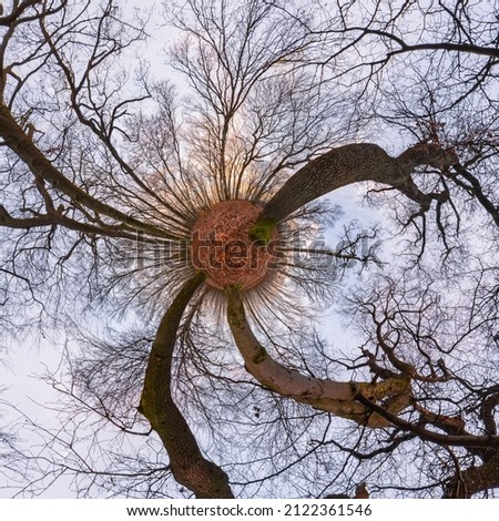 Similar – Image, Stock Photo Y 2 Nature Landscape Plant