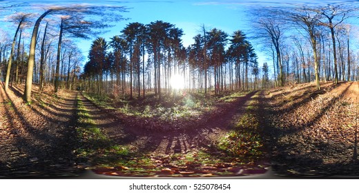 
360 degrees spherical panorama of european forest in autumn with blue sky