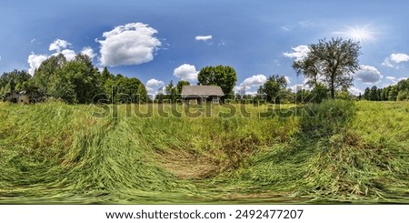 360 hdri panorama near abandoned dying village in the middle of forest with an overgrown area in full seamless spherical equirectangular projection, ready AR VR virtual reality content