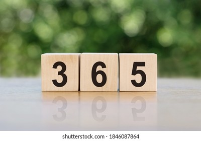 365 text written on wooden blocks. 365 New Days