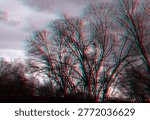3d anaglyph of trees in backyard