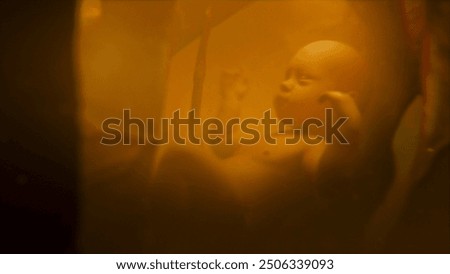 3D animated graphics of baby developing in mother womb and amniotic fluid inside abdomen. Fetal development from conception to the birth. Human reproductive system. Pregnancy and motherhood concept.
