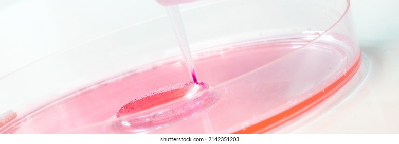 3D  bioprinting is the use of 3D printing  techniques to combine cells, growth factors,   biomaterials to fabricate biomedical parts - Shutterstock ID 2142351203