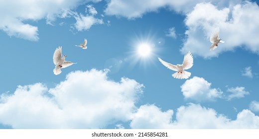 3d ceiling decoration image. Sky bottom up view. Beautiful sunny sky. Flying white doves. 