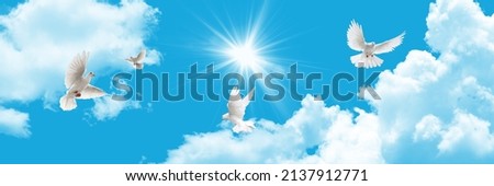 3d ceiling decoration image. sky bottom up view. sunny sky with flying white doves