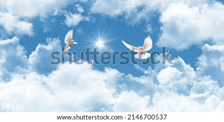 3d ceiling decoration image. Sky bottom up view. Beautiful sunny sky. Flying white doves. Stretch ceiling sky model.