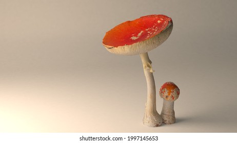 3D  CGI ilustrated image for comercial puporses
