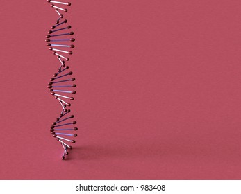 3d dna model