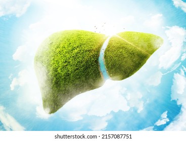 3D Grass Liver Planet Cocept