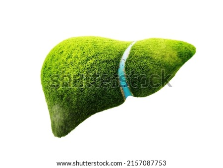 3D grass liver planet isolated Realistic liver images are human green tree shapes about diseases and cirrhosis
