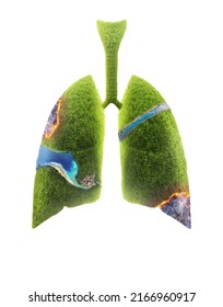 3D Grass Lung Cancer Planet Burning Isolated