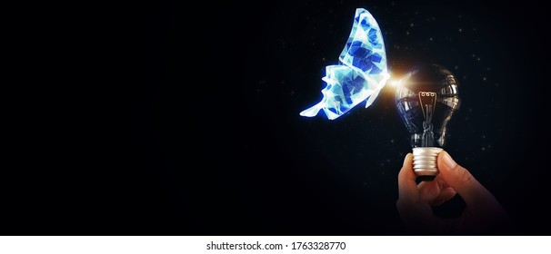 3D Illustration Abstract Background Hand Holding Light Bulb With Butterfly Flying Freedom Concept Of Think Inspiration Creative Idea Motivation For Future Technology Business Transform Innovation