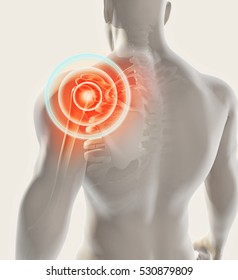3D illustration, shoulder painful skeleton x-ray, medical concept.