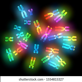 3D illustration showing colorful female x-chromosomes