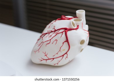 3d Models Of Organs. Printed On A 3D Printer Heart.