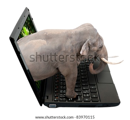 3D Netbook / Notebook With Elephant on the Screen - isolated on White