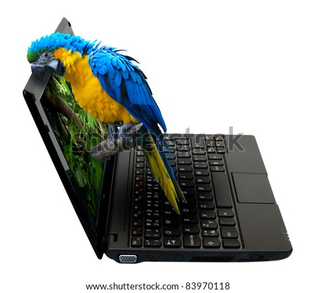 3D Netbook / Notebook With Parrot on the Screen - isolated on White