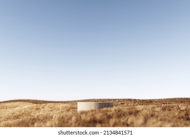 3D podium background, pedestal stand on natural dry grass. Summer product scene display. Arch classical studio. Minimal showcase 3D render advertisement, illustration. - Shutterstock ID 2134841571