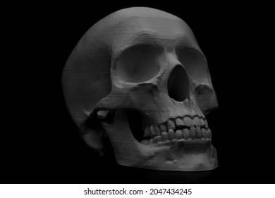 3D Print Skull In Black Background