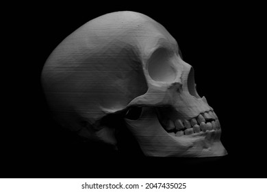 3D Print Skull In Black Background