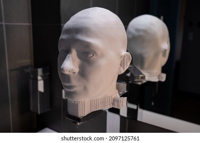 3d printed model of human head